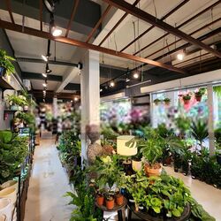 Kovan City (D19), Retail #545516981